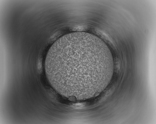 X0000093450312200710261106