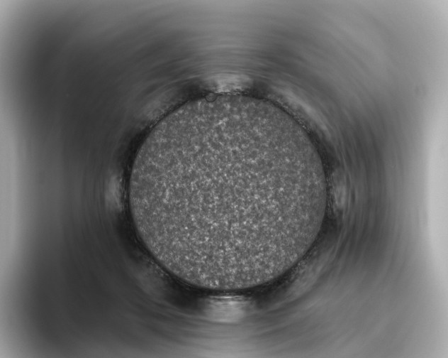 X0000093450316200710261106