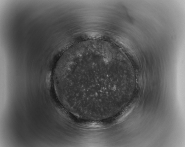 X0000093450319200710261106