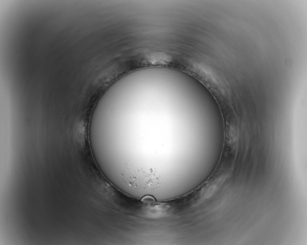 X0000093450321200710261106