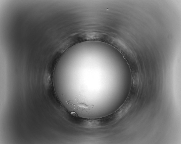 X0000093450327200710261106