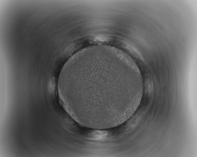 X0000093450328200710261106