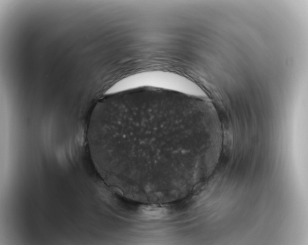 X0000093450331200710261106