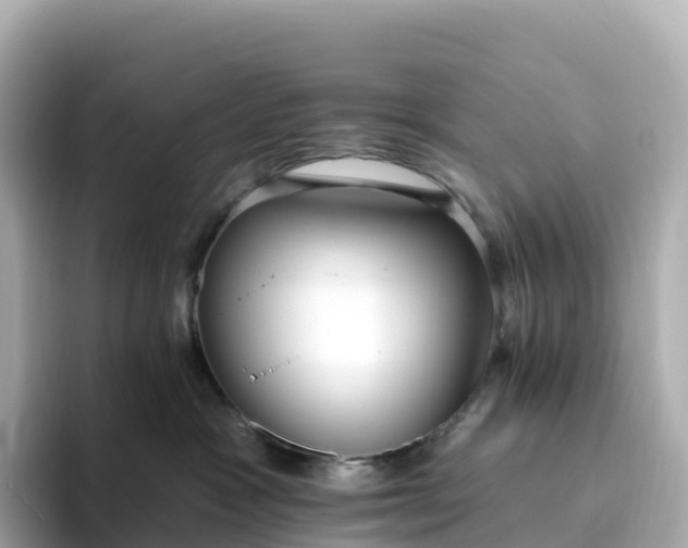 X0000093450333200710261106