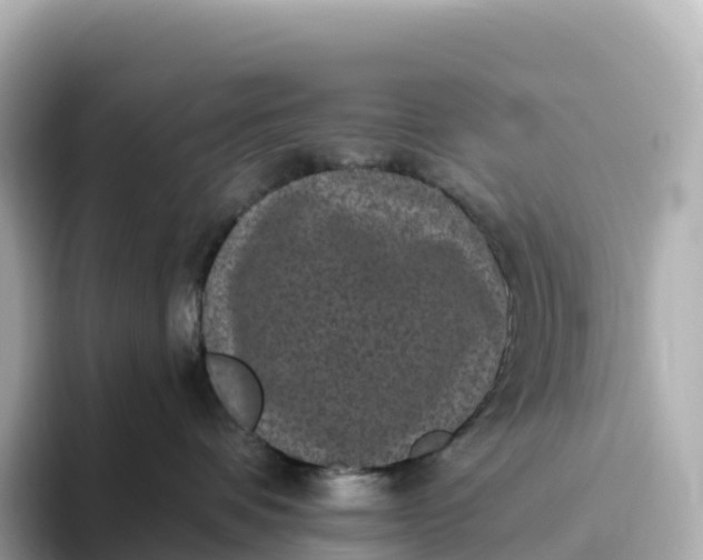 X0000093450336200710261106