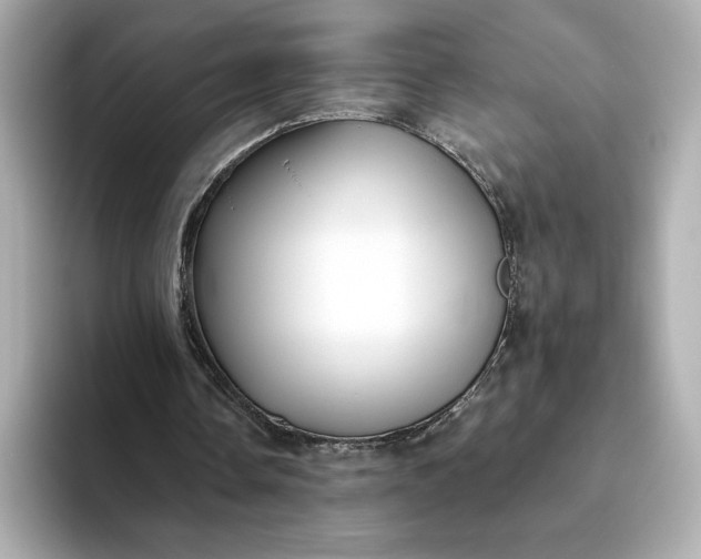 X0000093450338200710261106