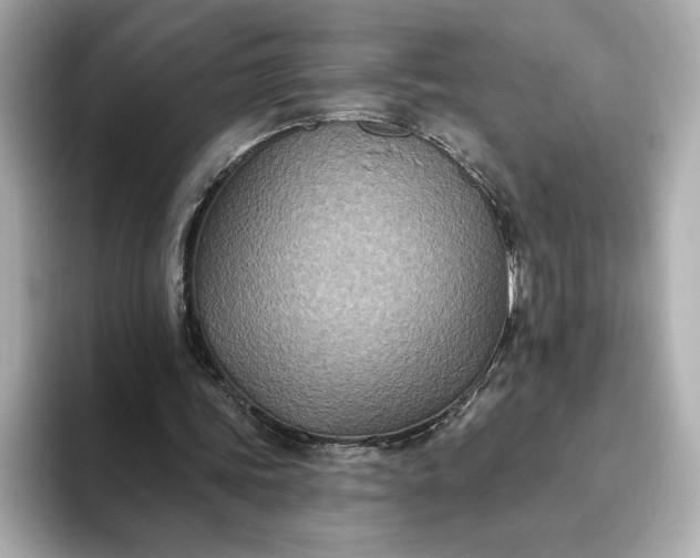 X0000093450339200710261106