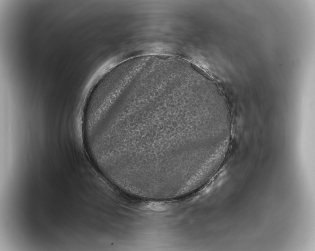 X0000093450341200710261106