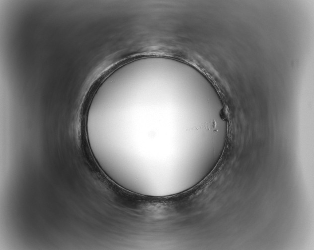 X0000093450344200710261106