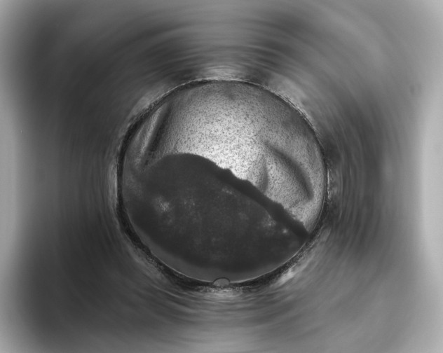 X0000093450349200710261106