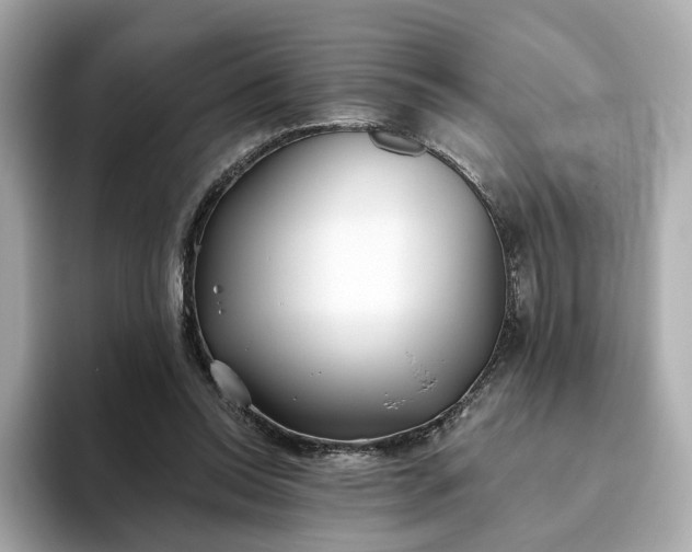 X0000093450350200710261106