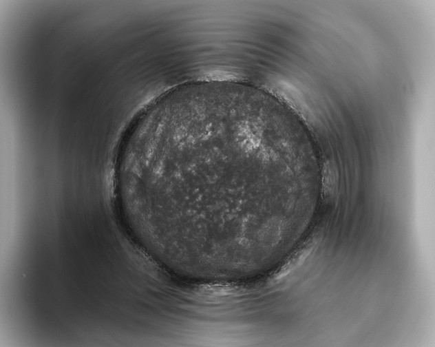 X0000093450351200710261106