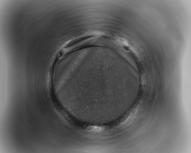 X0000093450352200710261106