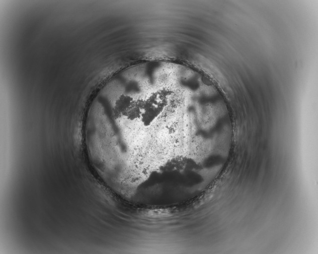 X0000093450353200710261106