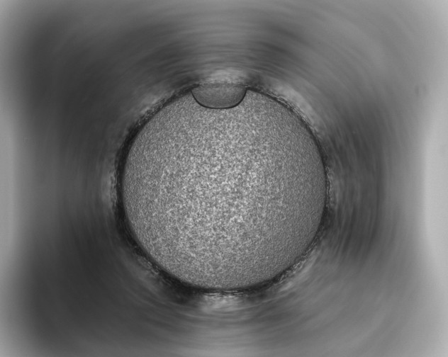 X0000093450354200710261106