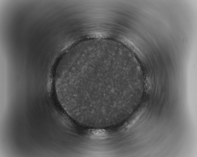 X0000093450355200710261106