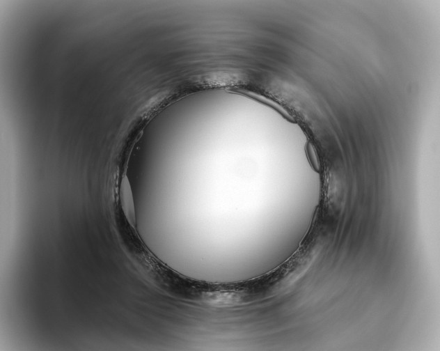 X0000093450356200710261106