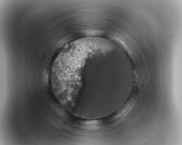 X0000093450357200710261106