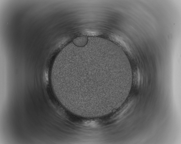 X0000093450358200710261106