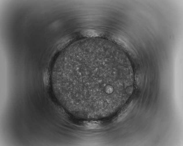 X0000093450359200710261106