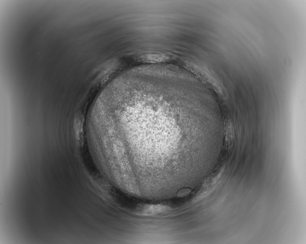 X0000093450360200710261106