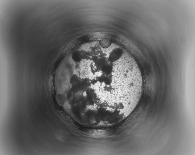 X0000093450361200710261106