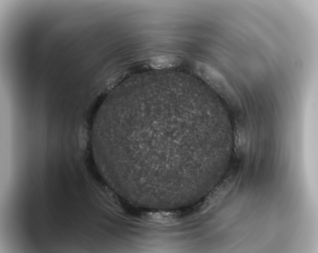 X0000093450367200710261106