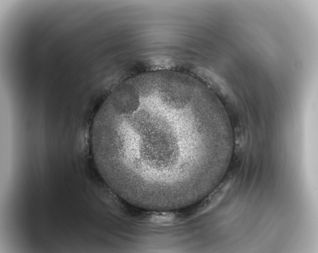 X0000093450369200710261106