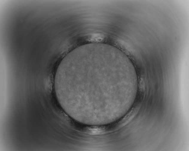 X0000093450370200710261106