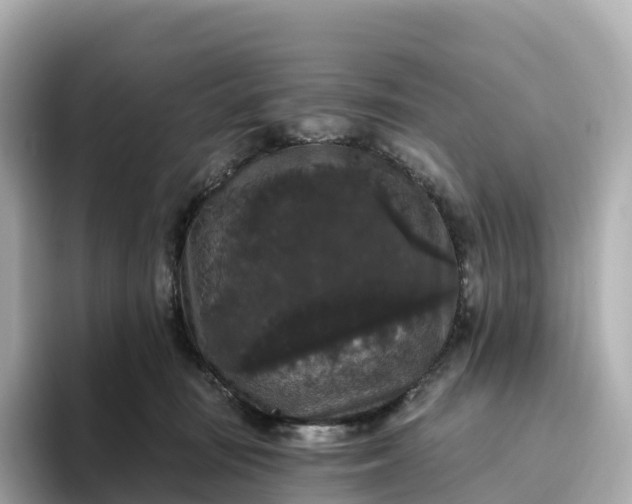 X0000093450371200710261106