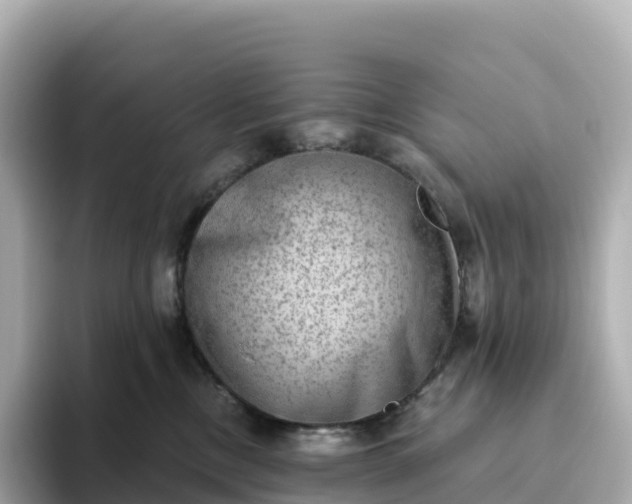 X0000093450378200710261106