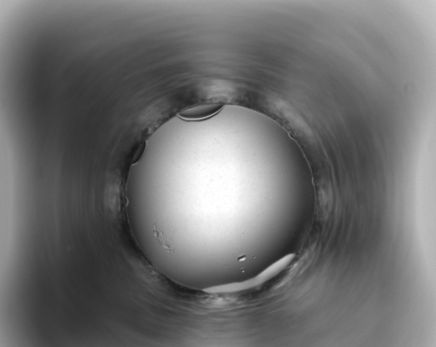 X0000093450379200710261106