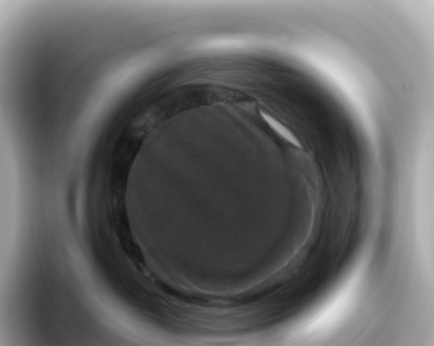 X0000093450382200710261106