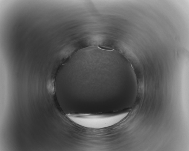 X0000093450383200710261106