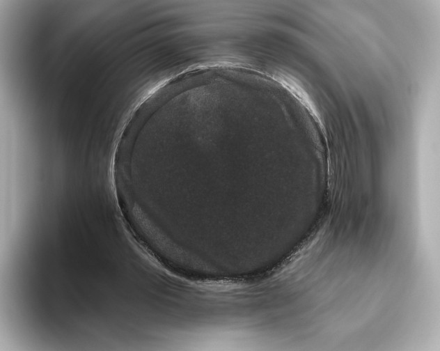 X0000093450389200710261105