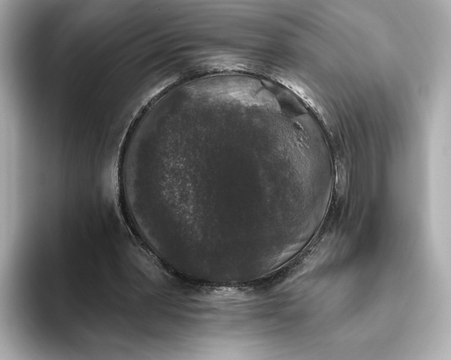 X0000093450390200710261105