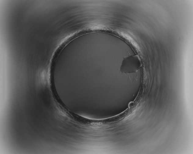 X0000093450391200710261105