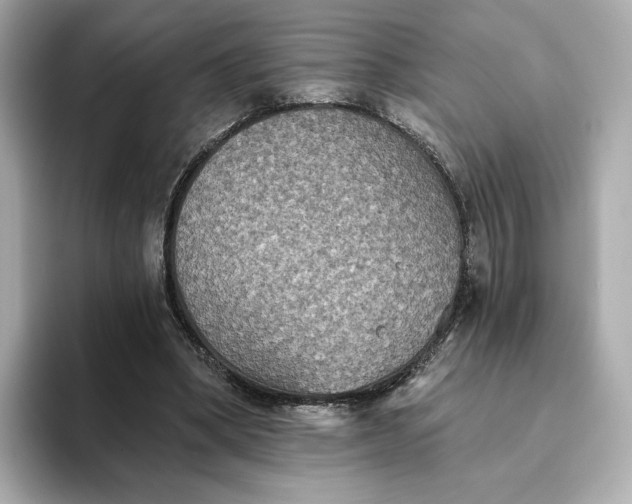 X0000093450394200710261105