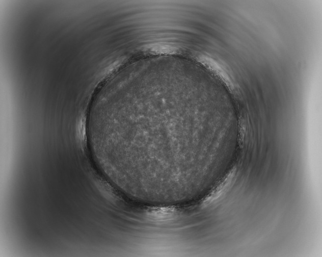 X0000093450398200710261105