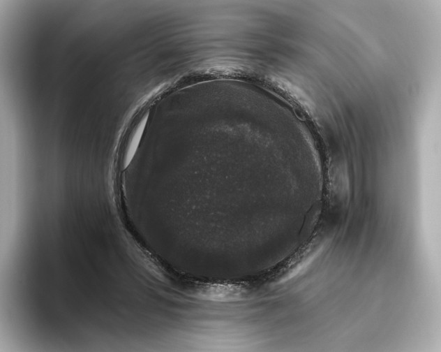 X0000093450399200710261105