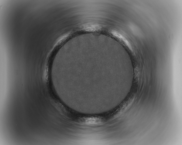 X0000093450400200710261105