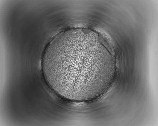 X0000093450401200710261105