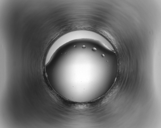 X0000093450405200710261105