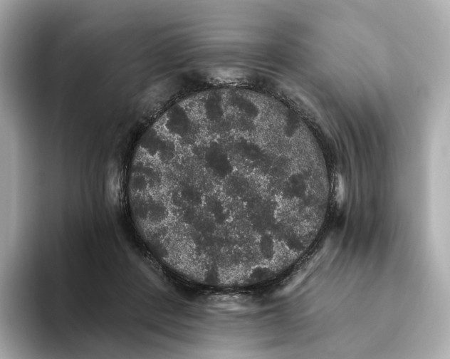 X0000093450408200710261105