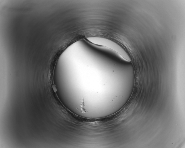 X0000093450411200710261105