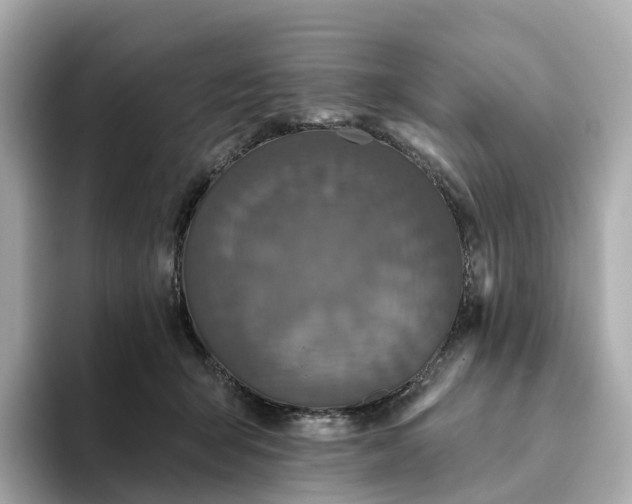 X0000093450415200710261105