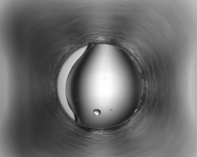 X0000093450423200710261105