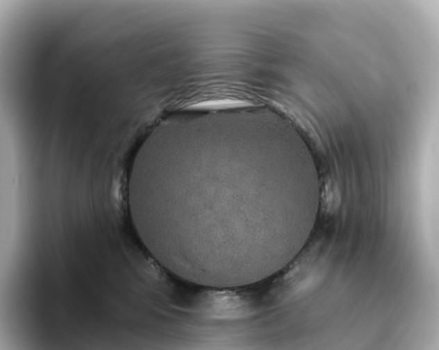 X0000093450424200710261105