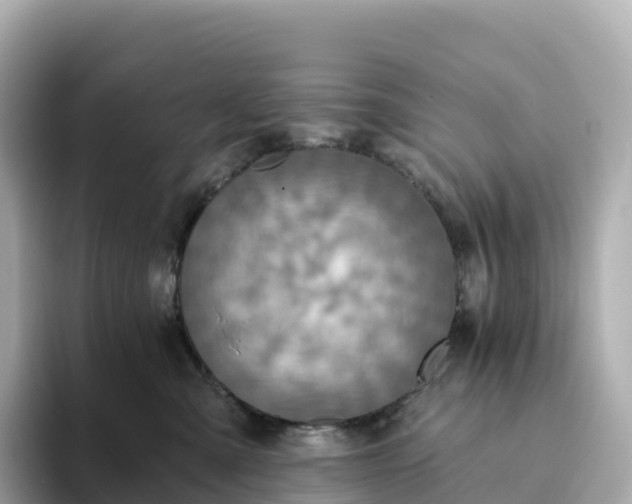 X0000093450427200710261105