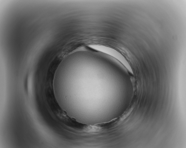 X0000093450429200710261105